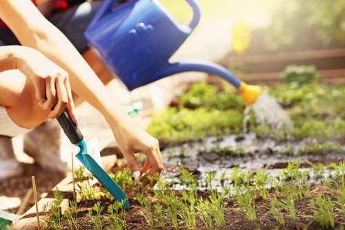 Staff member assessing garden beds for safe working conditions