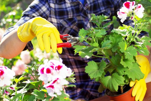 Eco-friendly landscaping practices