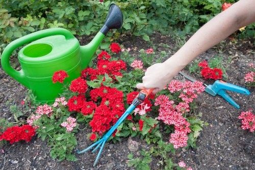 Technician addressing a garden safety concern on site