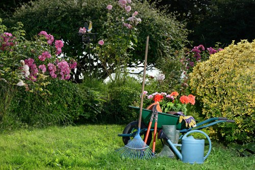 Hedge trimming in suburban Kingston street