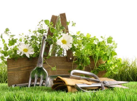 Quotation advice for gardening work in Kingston