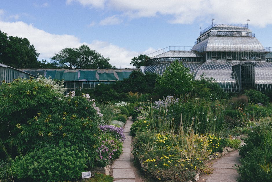 A greenhouse with a curved glass roof and metal framework is situated behind a lush garden bed filled with a variety of flowering plants, shrubs, and greenery. The garden features a narrow stone pathw